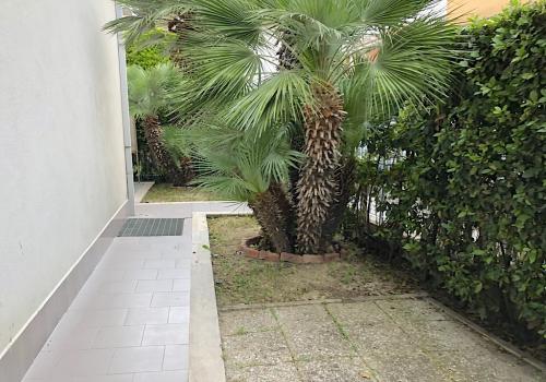 appartamento estivo a san benedetto del tronto via cefalonia esterno