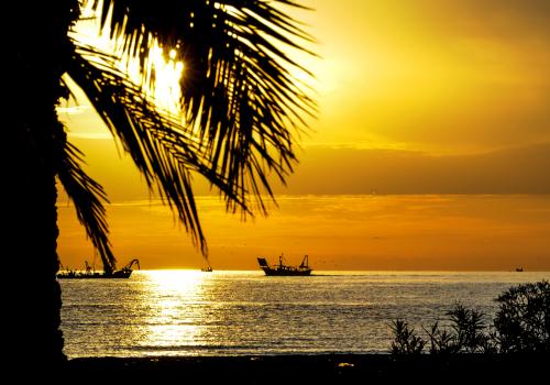 appartamento estivo San Benedetto del Tronto - Agenzia Petra